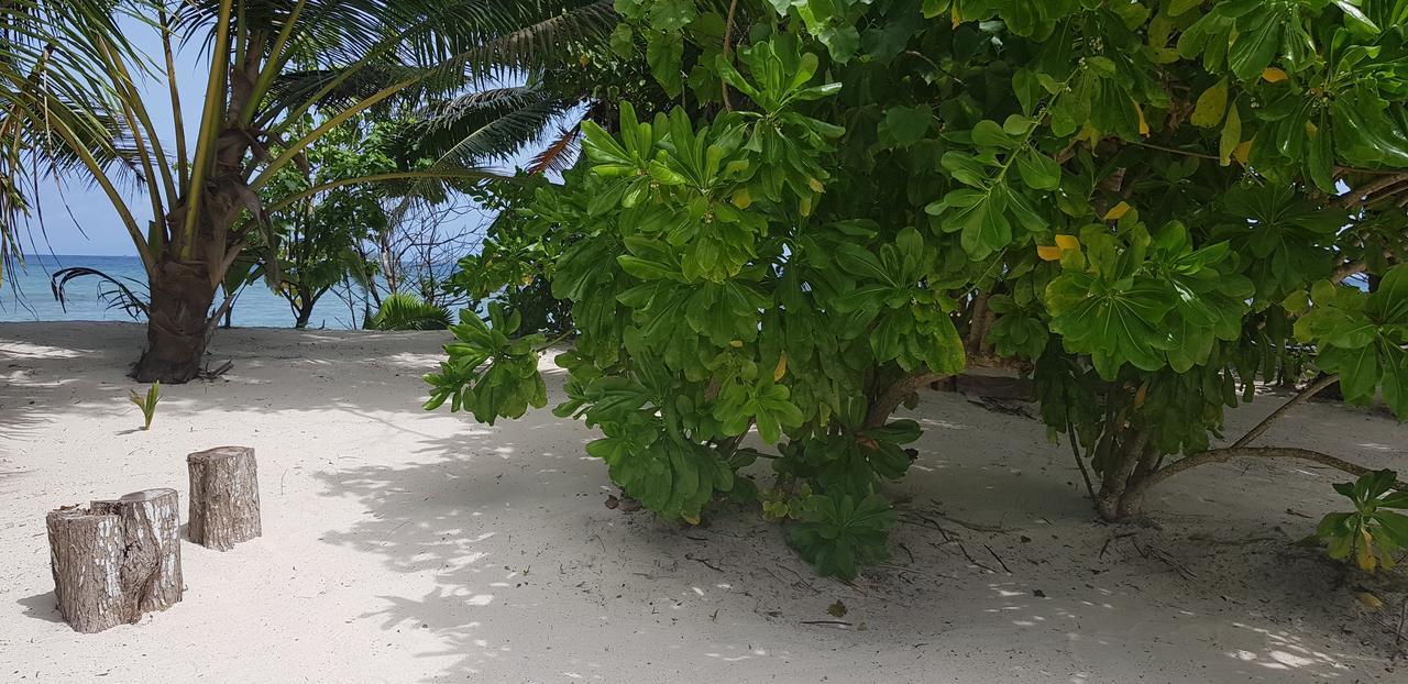 Villa Admiral Grand Anse  Εξωτερικό φωτογραφία